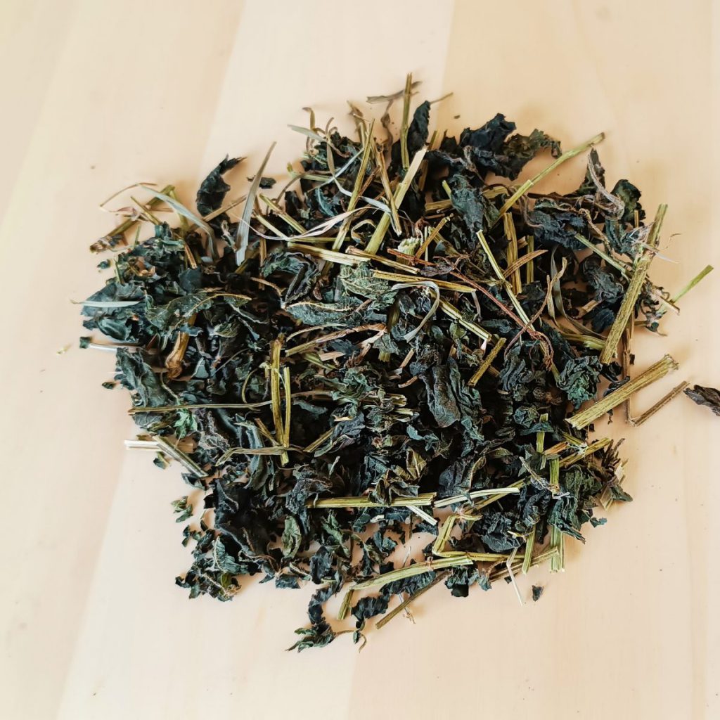 Kopriva (krupna)