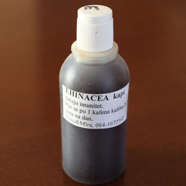 Ehinacea kapi