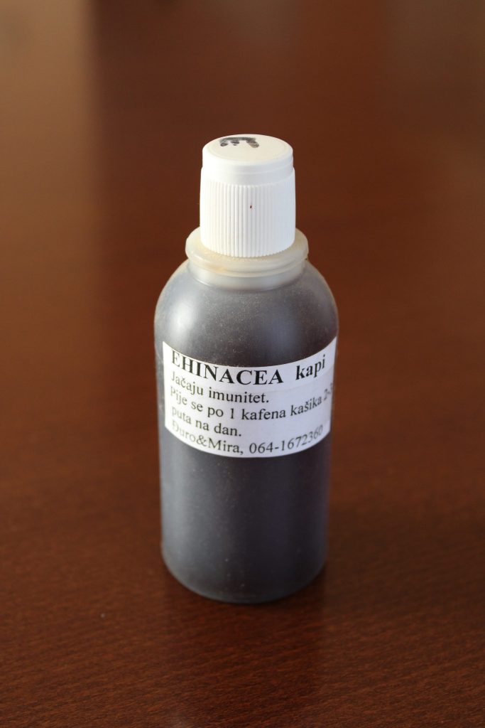 Ehinacea kapi