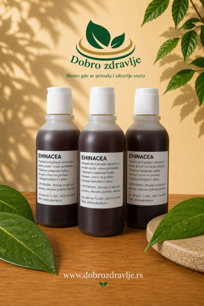 ehinacea kapi